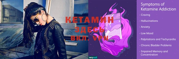 ПСИЛОЦИБИНОВЫЕ ГРИБЫ Гусев