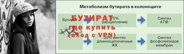 ПСИЛОЦИБИНОВЫЕ ГРИБЫ Гусев