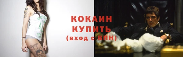 ПСИЛОЦИБИНОВЫЕ ГРИБЫ Гусев