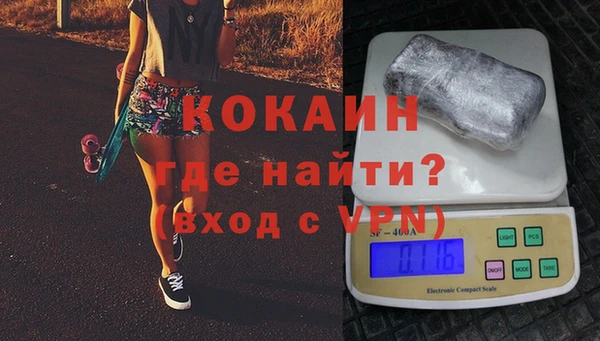 ПСИЛОЦИБИНОВЫЕ ГРИБЫ Гусев