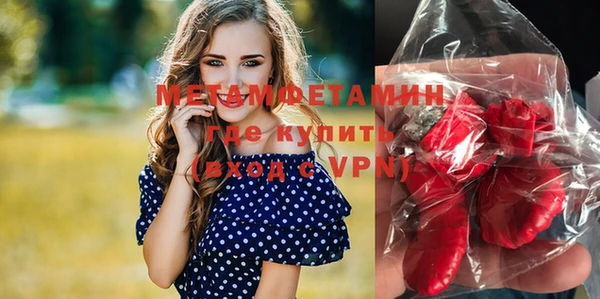 ПСИЛОЦИБИНОВЫЕ ГРИБЫ Гусев