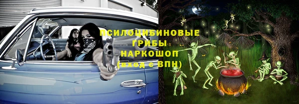 гидропоника Гусь-Хрустальный