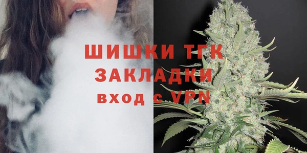 гидропоника Гусь-Хрустальный