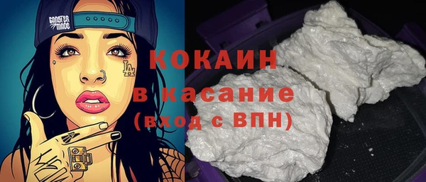ПСИЛОЦИБИНОВЫЕ ГРИБЫ Гусев