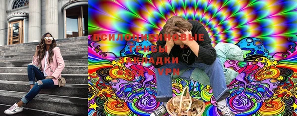дурь Гусиноозёрск