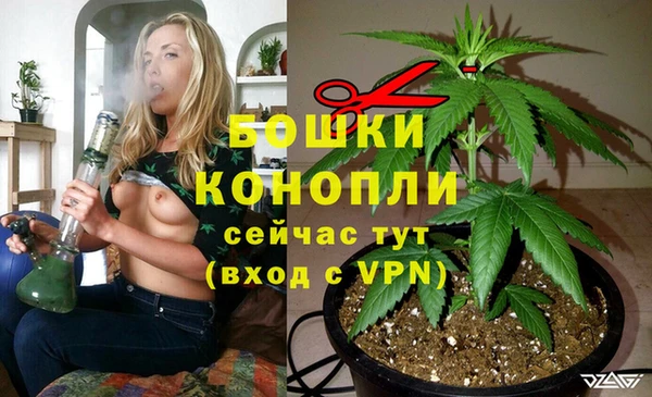 гидропоника Гусь-Хрустальный
