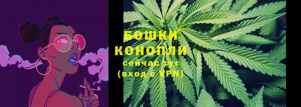 гидропоника Гусь-Хрустальный