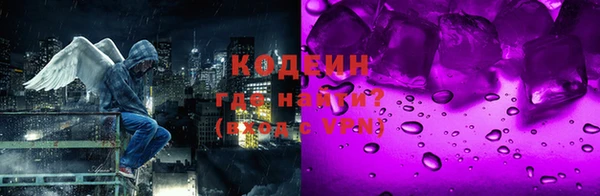 ПСИЛОЦИБИНОВЫЕ ГРИБЫ Гусев